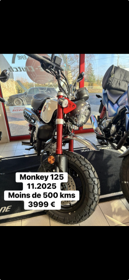 Monkey 125 - AVRANCHES