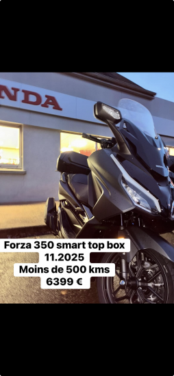 Forza 350 smart top box - AVRANCHES